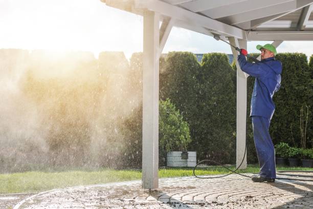 Best Fleet Vehicle Washing  in Upper Grand Lagoon, FL