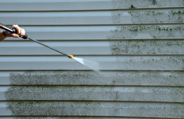 Best Roof Washing  in Upper Grand Lagoon, FL